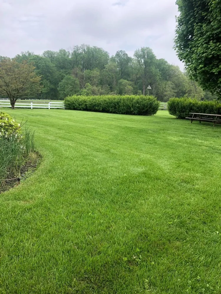 Affordable garden landscaping in Forest Hill, MD - Bellamy Lawn Care