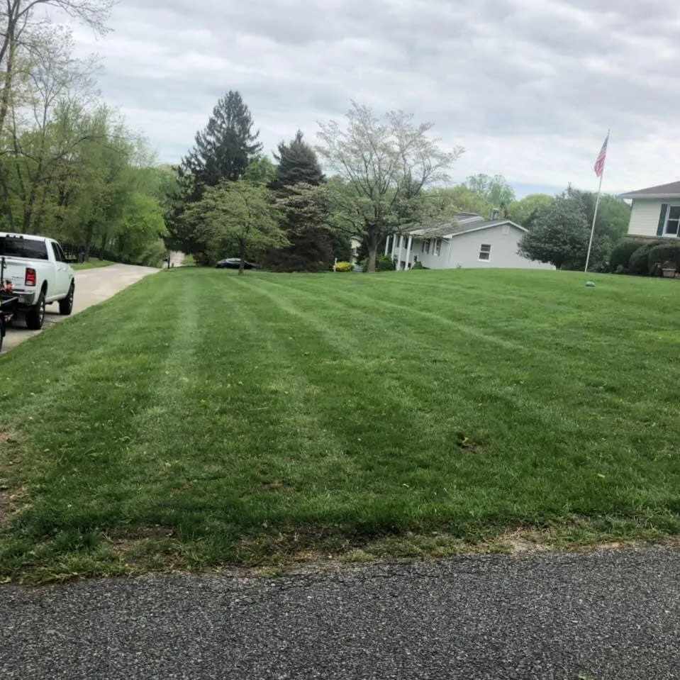 Local landscape installation for beautiful yards across Forest Hill, MD - Bellamy Lawn Care