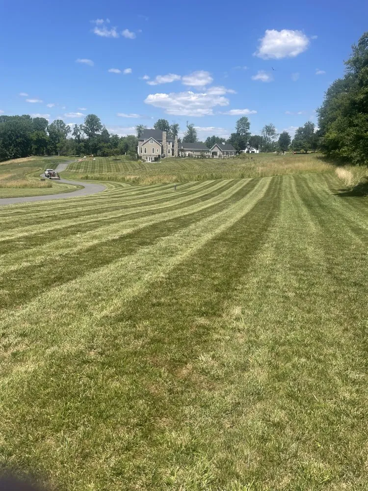 Top-rated lawn care service for homes across Forest Hill, MD - Bellamy Lawn Care