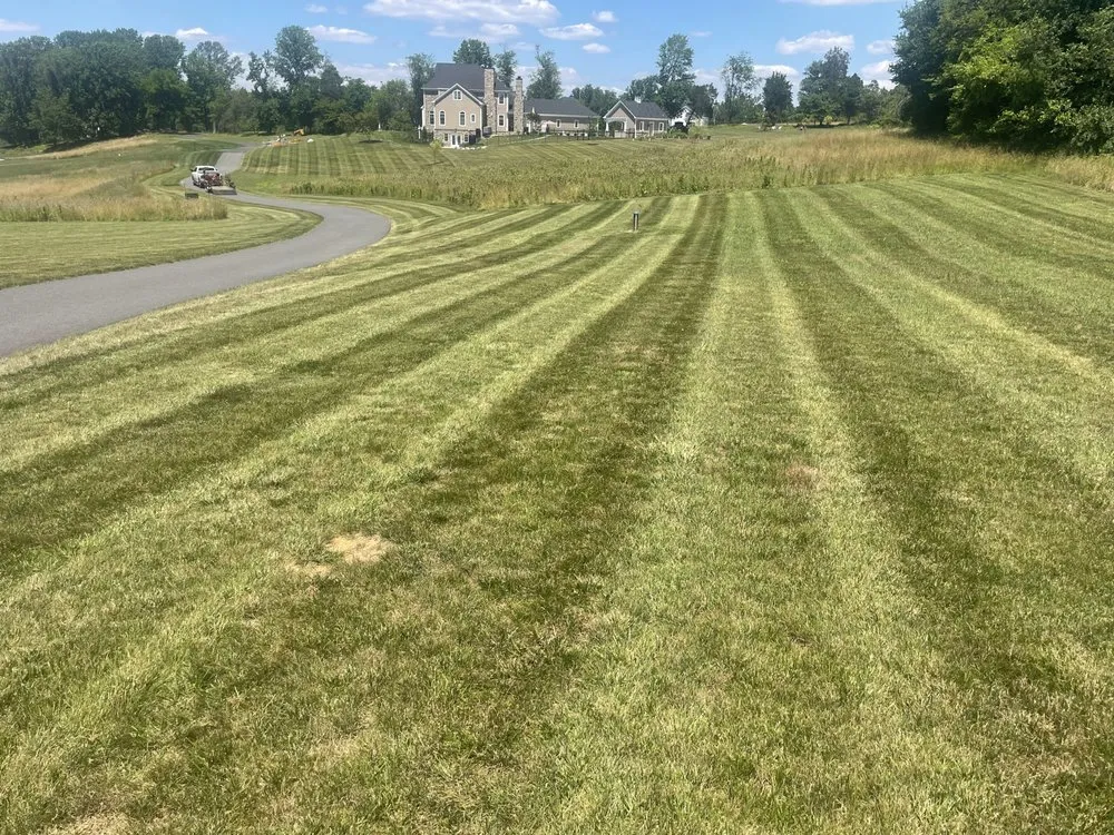 Top-rated landscape design for residential properties in Forest Hill, MD by Bellamy Lawn Care