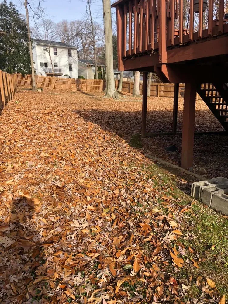 Professional lawn mowing service for beautiful yards in Forest Hill, MD by Bellamy Lawn Care