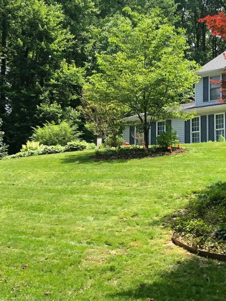 Expert lawn mowing service near you in Forest Hill, MD by Bellamy Lawn Care