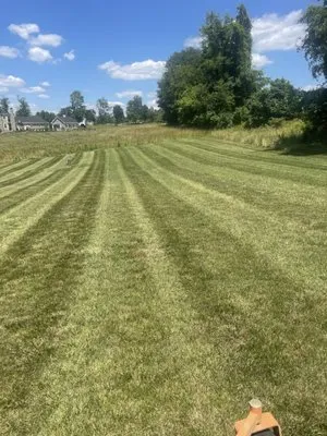 Bellamy Lawn Care Logo