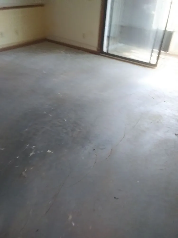 Top-rated landscaping services in Shallotte, NC - Bellamy Small Services