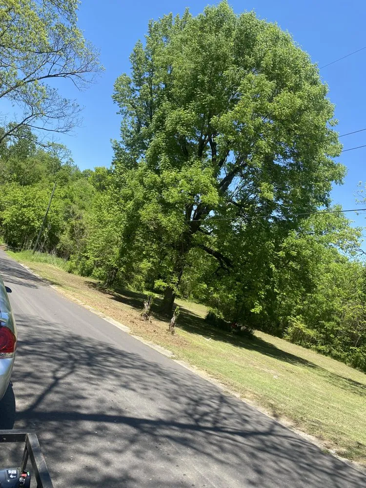 Reliable residential landscaping experts serving Pinson, AL - Bellamy’s Lawn Care