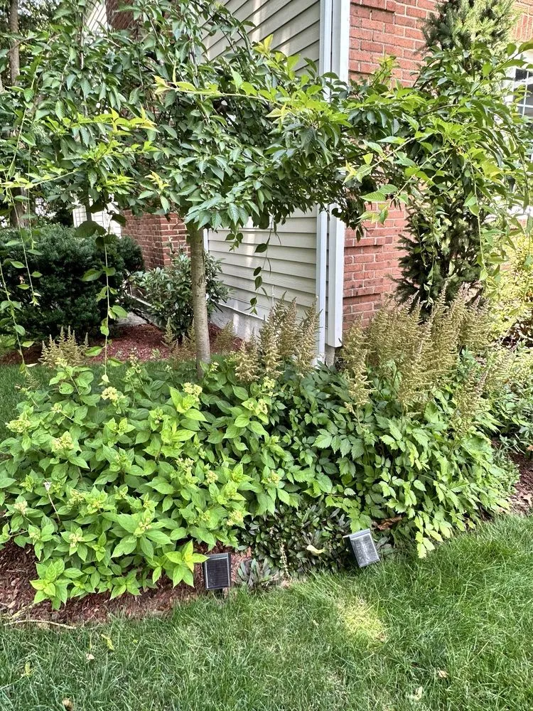 Custom landscape design in White Plains, NY by Bellantoni Landscapes