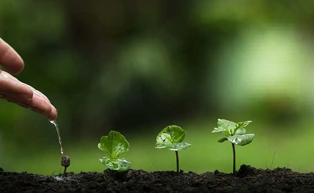 Trusted lawn mowing service near you across White Plains, NY - Bellantoni Landscapes