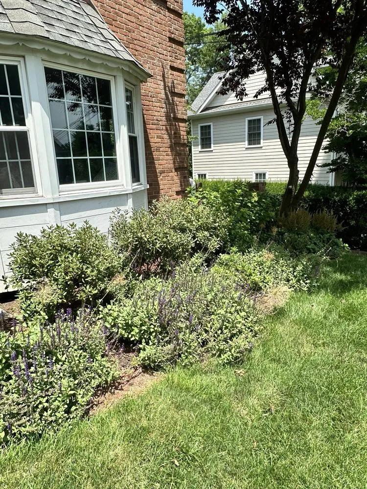 Trusted garden landscaping for homes across White Plains, NY - Bellantoni Landscapes