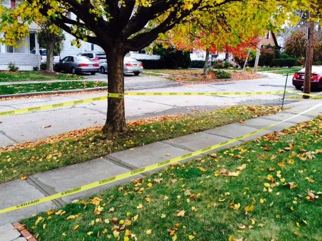 Affordable outdoor landscaping experts serving White Plains, NY - Bellantoni Landscapes