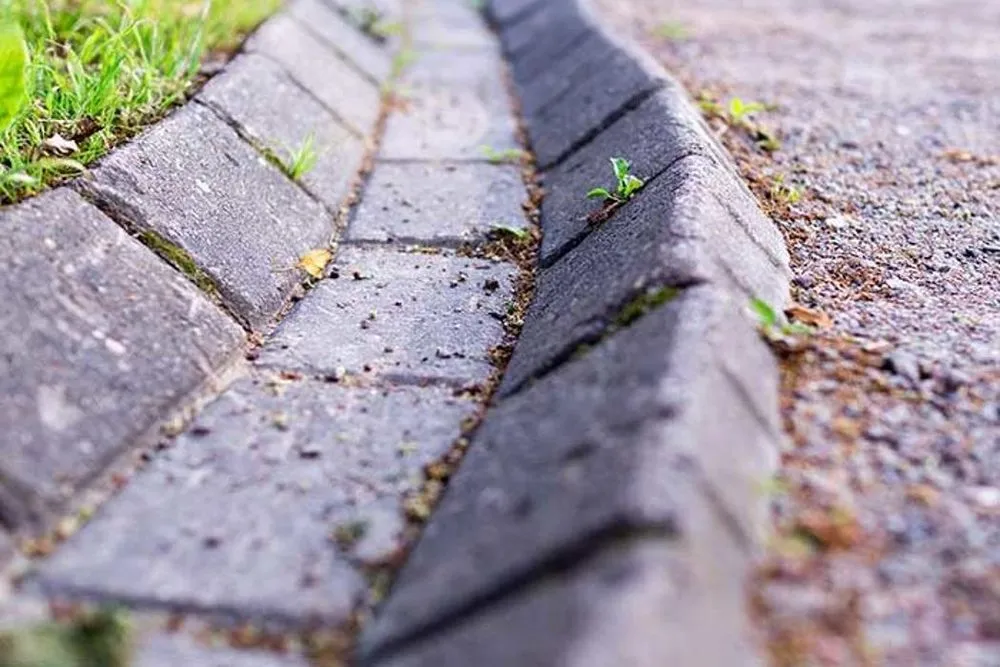 Reliable garden landscaping for residential properties in White Plains, NY by Bellantoni Landscapes