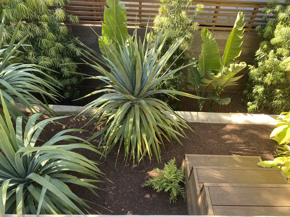 Affordable landscape design experts serving San Francisco, CA - Bellas Landscapes