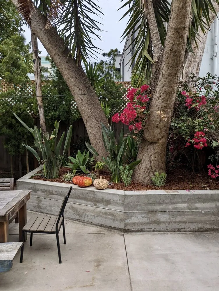 Affordable lawn care service for homes across San Francisco, CA - Bellas Landscapes