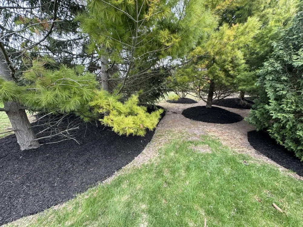 Trusted lawn care service for year-round maintenance across Brown Deer, WI - Bella’s Outdoor Services