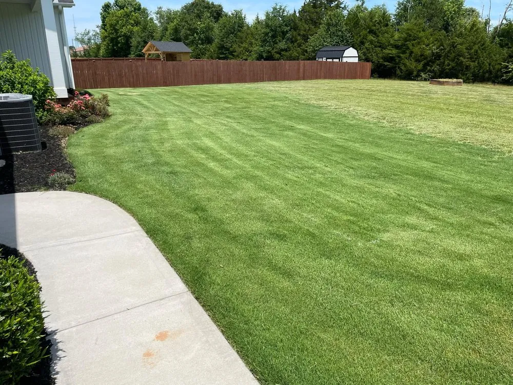 Professional landscape design near you in Greenville, SC by Bellas Premier Landscaping