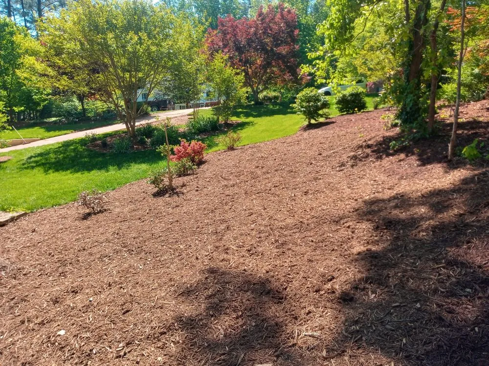 Affordable landscaping services for outdoor upgrades in Raleigh, NC by Bella's Tree & Landscaping