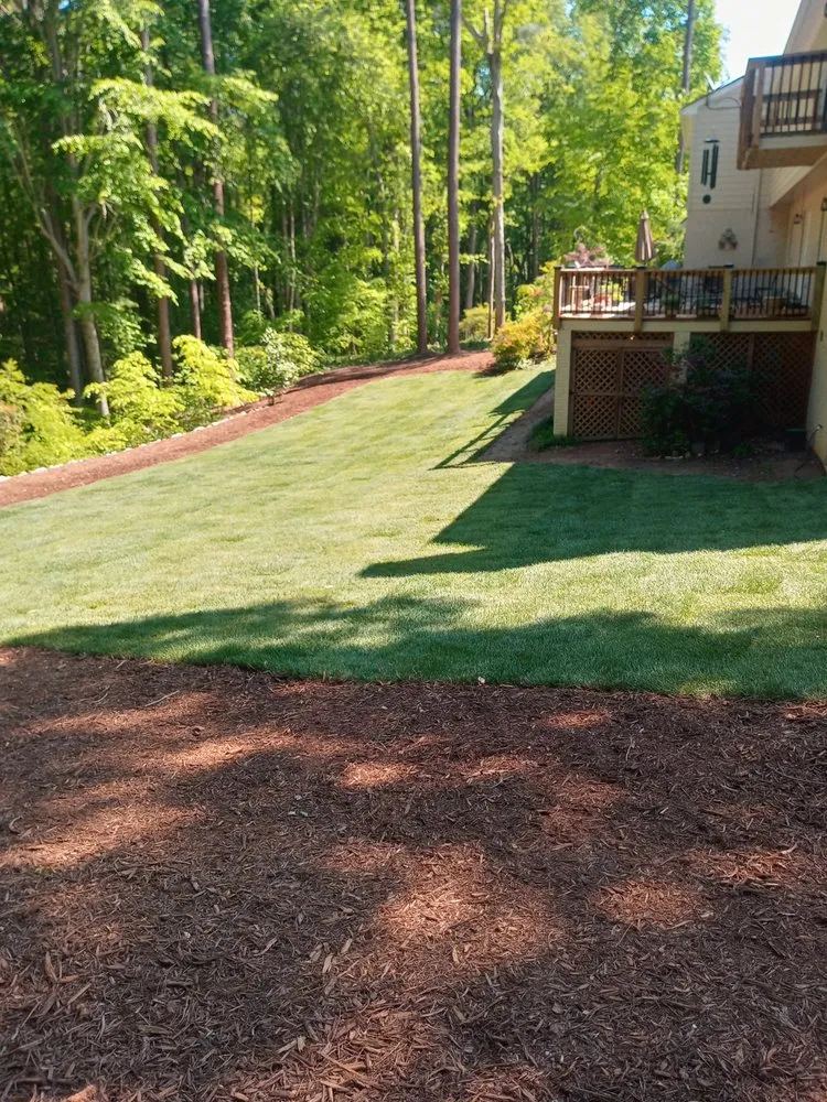 Top-rated lawn mowing service for outdoor upgrades across Raleigh, NC - Bella's Tree & Landscaping
