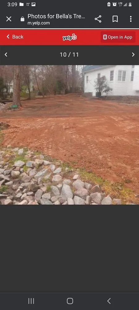 Top-rated yard cleanup service in Raleigh, NC by Bella's Tree & Landscaping