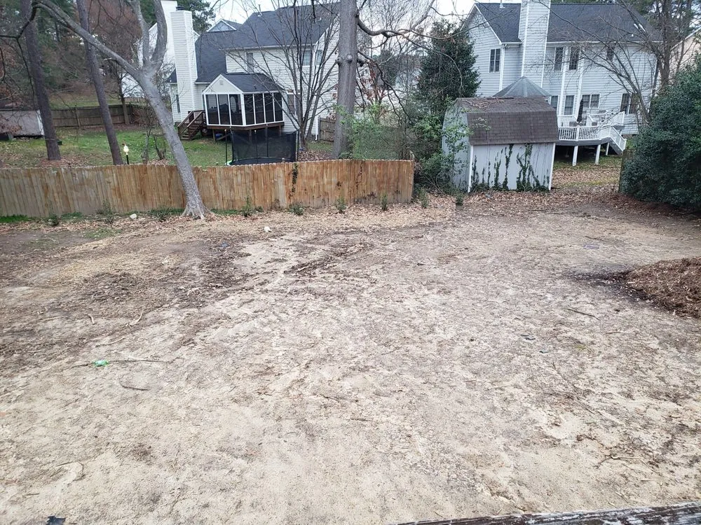 Trusted yard cleanup service in Raleigh, NC - Bella's Tree & Landscaping