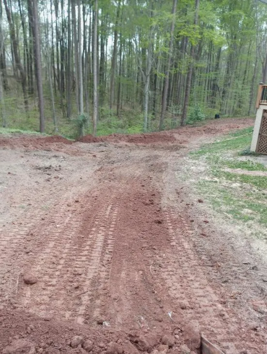 Local landscaping services in Raleigh, NC by Bella's Tree & Landscaping