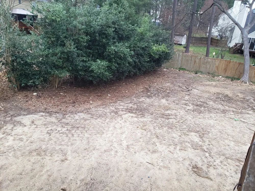 Affordable residential landscaping in Raleigh, NC - Bella's Tree & Landscaping
