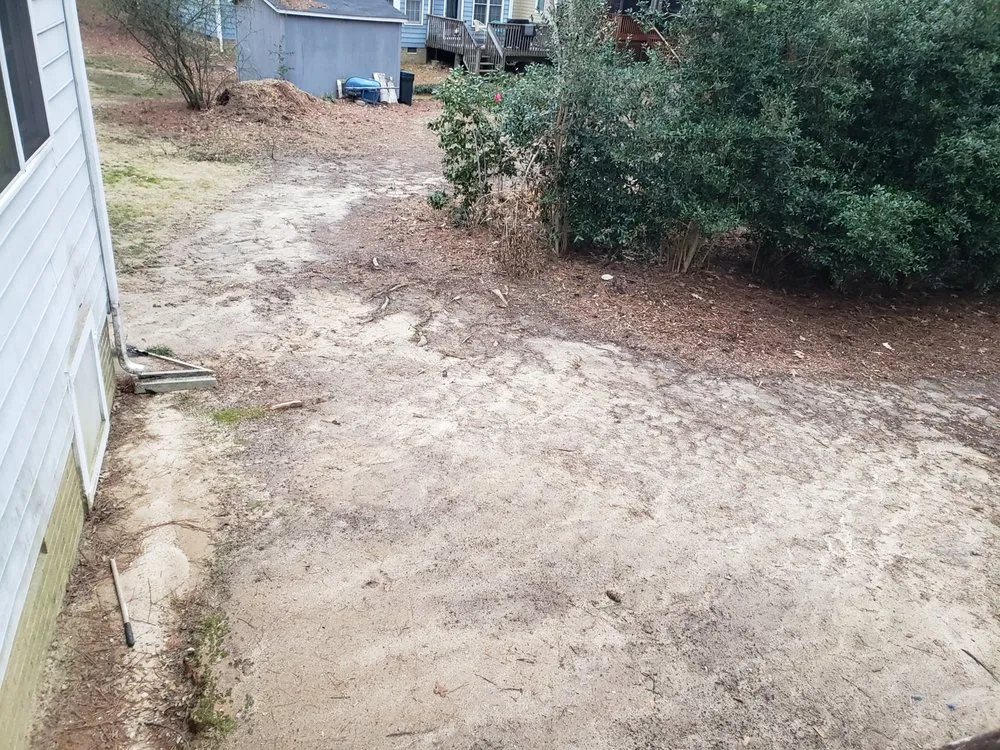 Professional landscaping services in Raleigh, NC - Bella's Tree & Landscaping