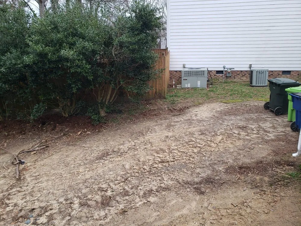 Professional yard cleanup service experts serving Raleigh, NC - Bella's Tree & Landscaping