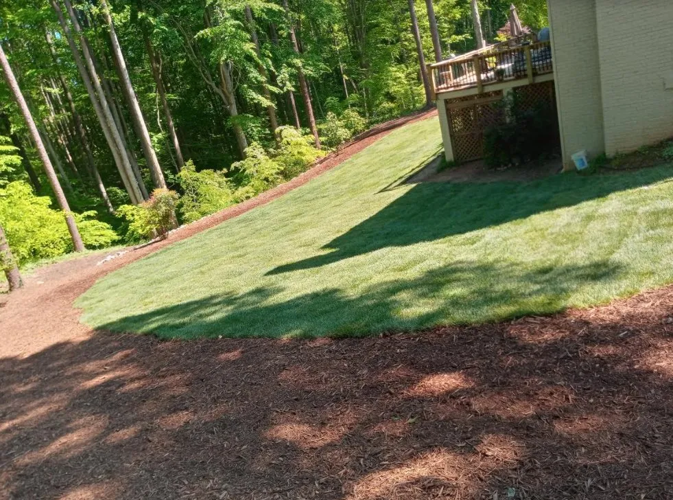 Expert landscaping services for residential properties across Raleigh, NC - Bella's Tree & Landscaping