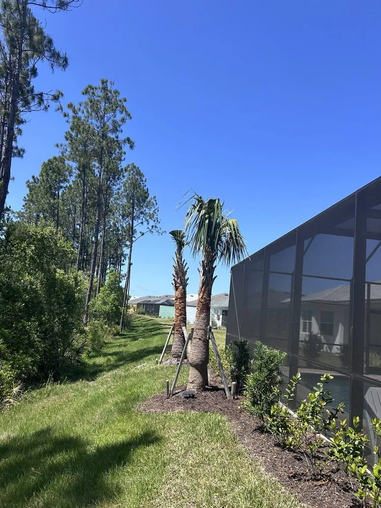 Expert yard cleanup service experts serving Orlando, FL - Bella’s Vision Services