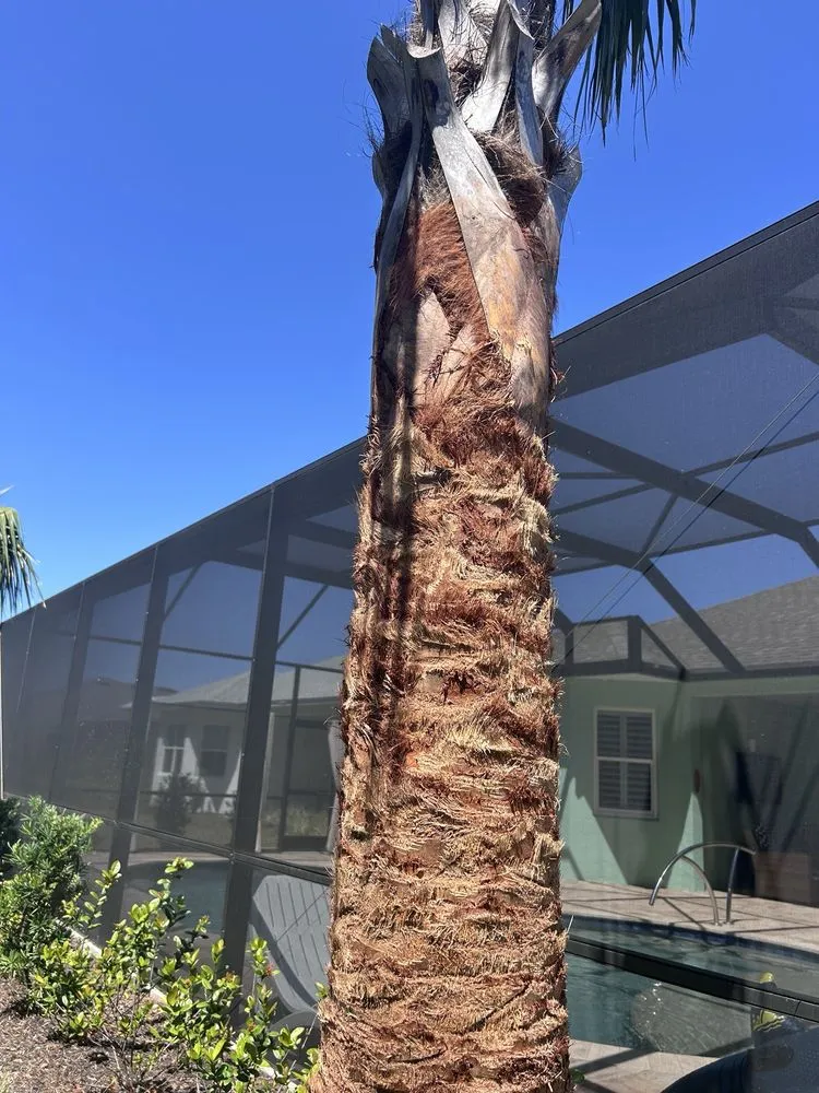 Affordable lawn mowing service in Orlando, FL - Bella’s Vision Services