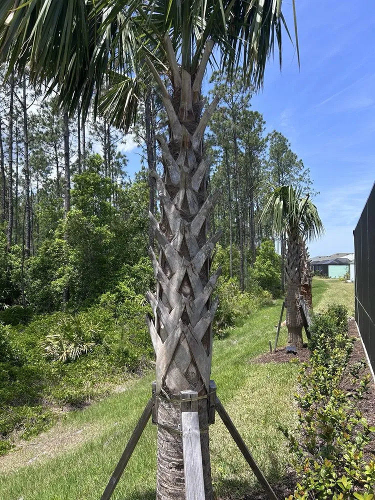 Reliable garden landscaping for homes across Orlando, FL - Bella’s Vision Services