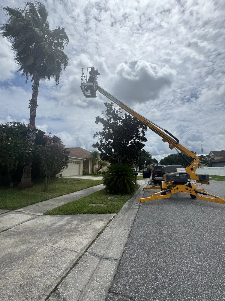 Professional landscaping services near you across Orlando, FL - Bella’s Vision Services