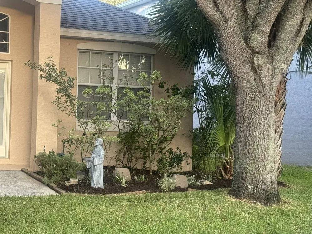 Expert yard cleanup service experts serving Orlando, FL - Bella’s Vision Services