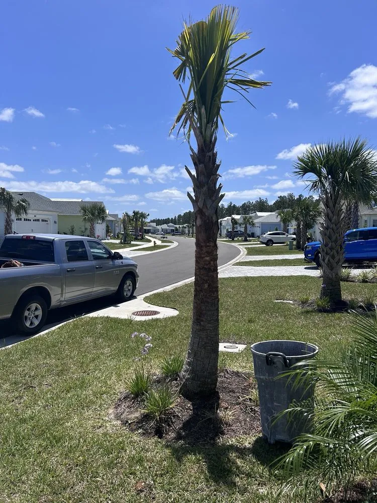 Expert yard cleanup service experts serving Orlando, FL - Bella’s Vision Services