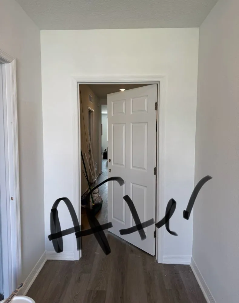 Affordable lawn mowing service experts serving Orlando, FL - Bella’s Vision Services