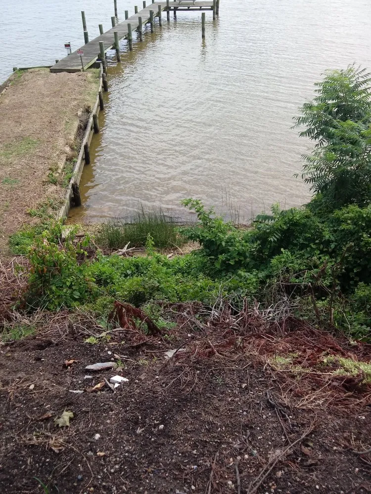 Reliable yard cleanup service in White Marsh, MD by Bellascape Landscaping