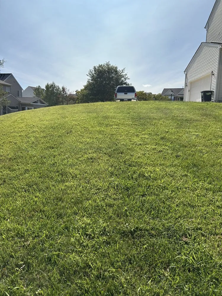 Custom landscaping services for homes in White Marsh, MD by Bellascape Landscaping