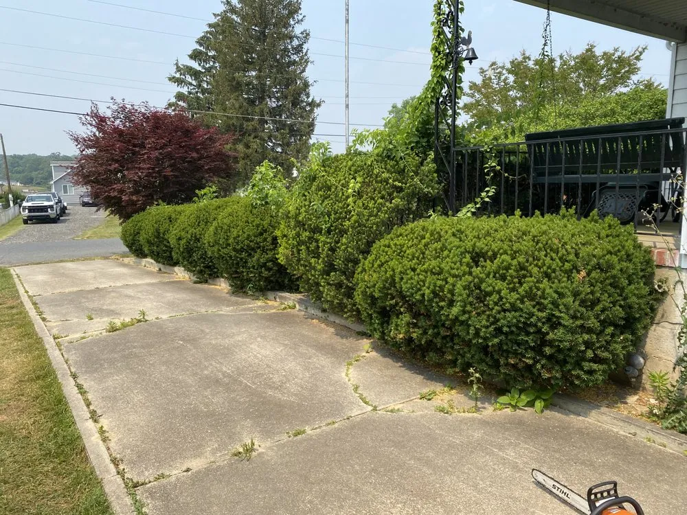 Local residential landscaping for beautiful yards across White Marsh, MD - Bellascape Landscaping