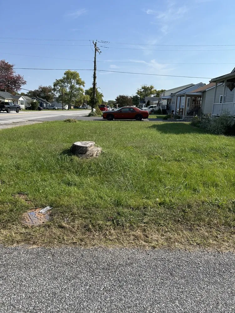 Trusted lawn care service in White Marsh, MD - Bellascape Landscaping