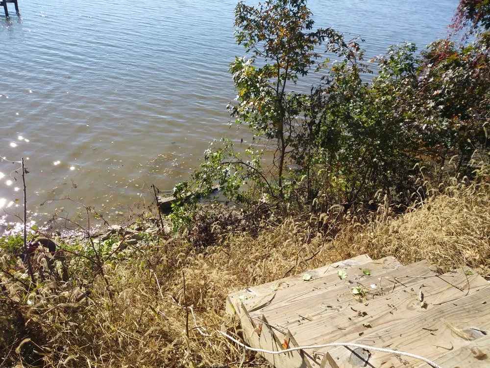 Expert lawn care service for homes in White Marsh, MD by Bellascape Landscaping