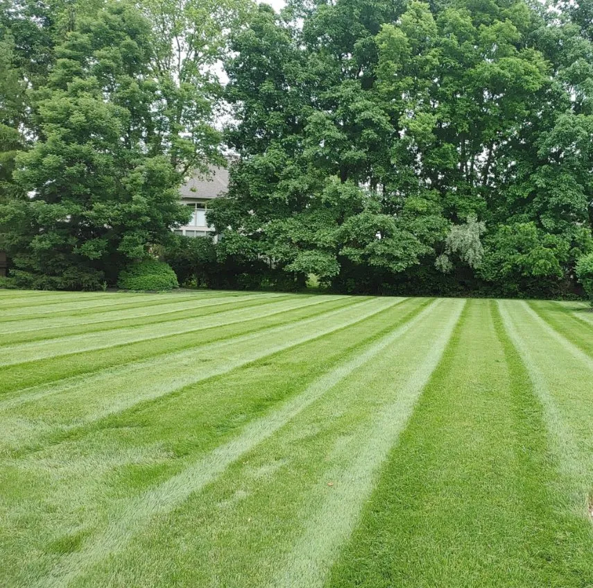 Top-rated landscaping services for outdoor upgrades across Clemmons, NC - Bellatierra Outdoor Solutions