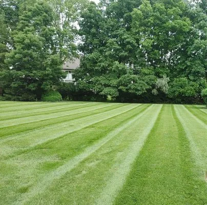 Bellatierra Outdoor Solutions Logo