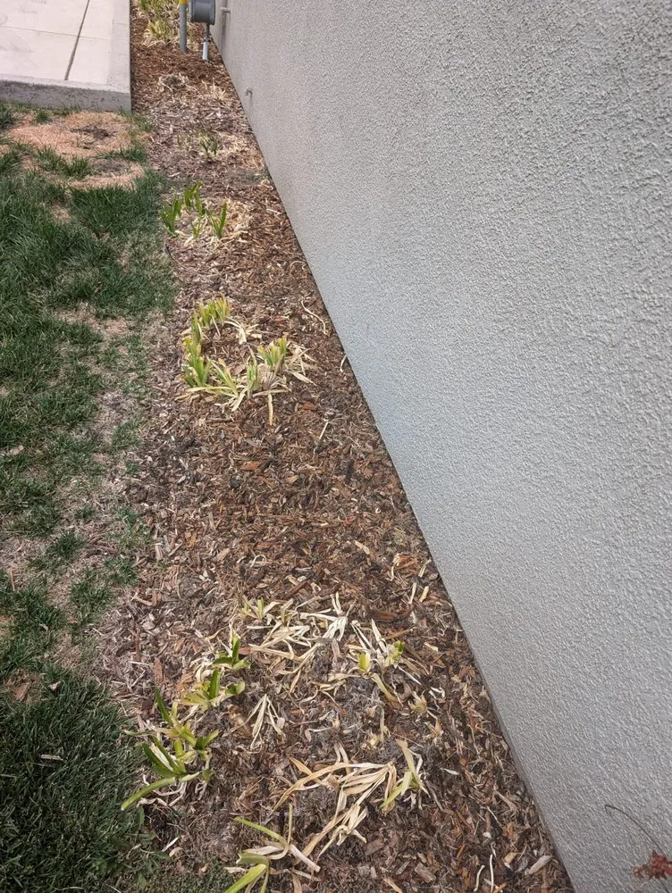 Custom yard maintenance in Rancho Cordova, CA by BellaVista Landscape Services