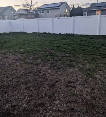 BellaVista Landscaping & Design