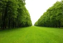 Top-rated garden landscaping in Beavercreek, OH - Bellbrook Landscaping