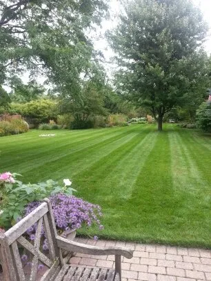 Professional yard maintenance experts serving Racine, WI - Belle City Lawn Care