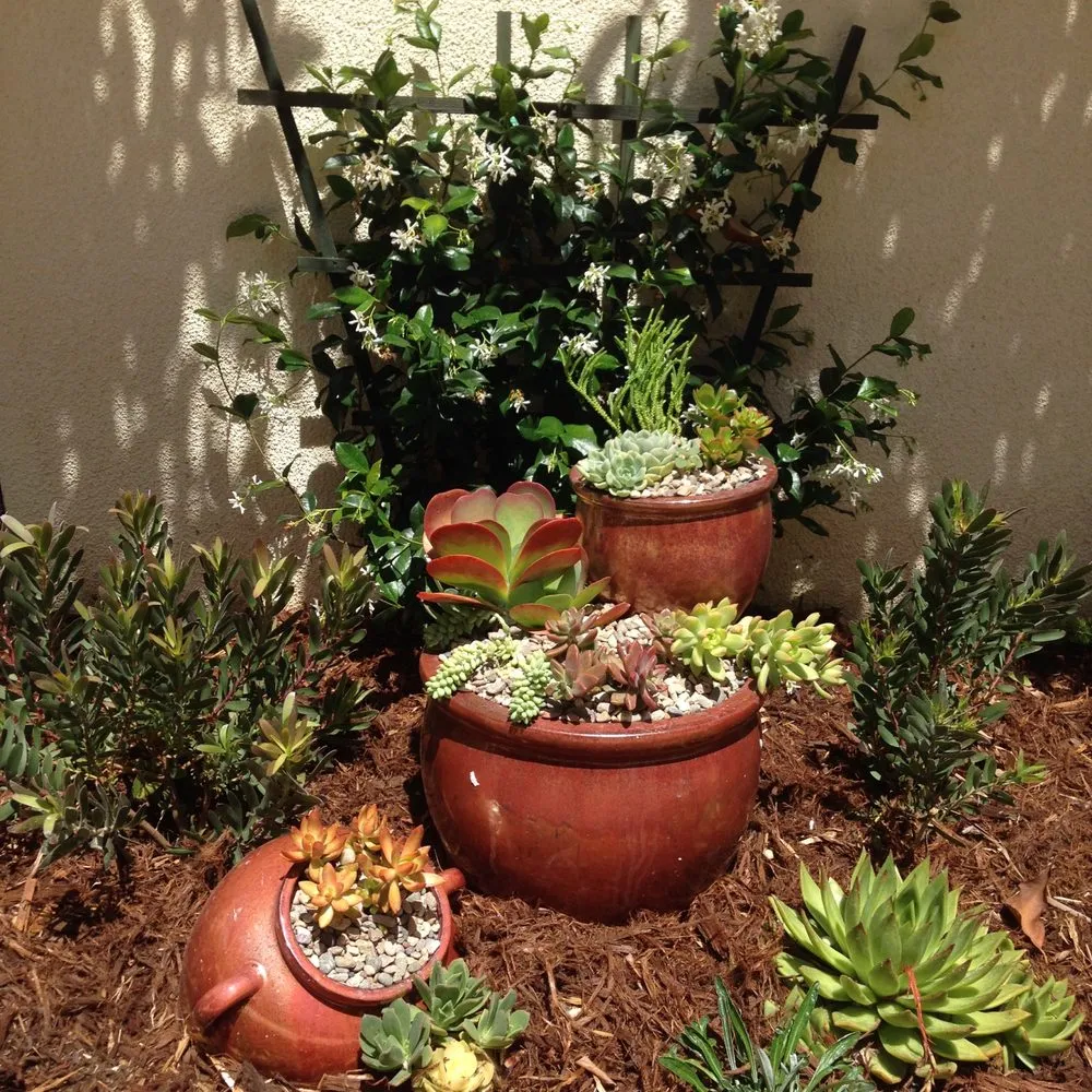 Trusted garden landscaping for outdoor upgrades across San Diego, CA - Belle Terre Landscapes
