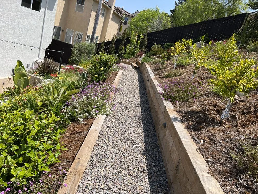 Professional yard maintenance in San Diego, CA - Belle Terre Landscapes
