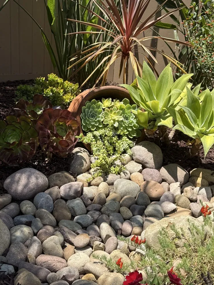 Reliable landscape installation experts serving San Diego, CA - Belle Terre Landscapes