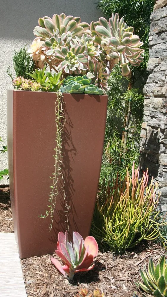 Top-rated landscaping services in San Diego, CA - Belle Terre Landscapes