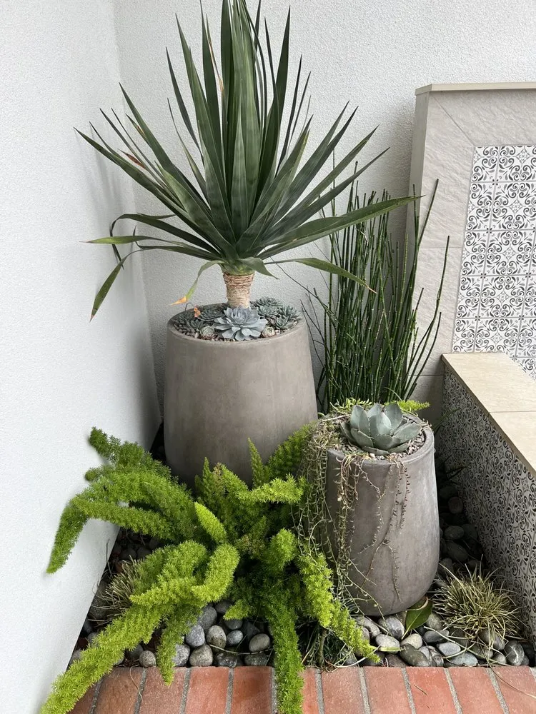 Custom landscape design in San Diego, CA by Belle Terre Landscapes